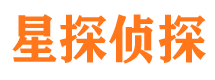 大观市侦探公司